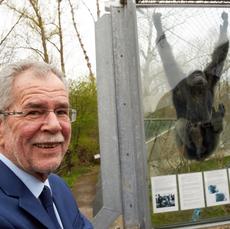 Präsidentschaftskandidat Van der Bellen besucht Wiener Tierschutzverein 070416
